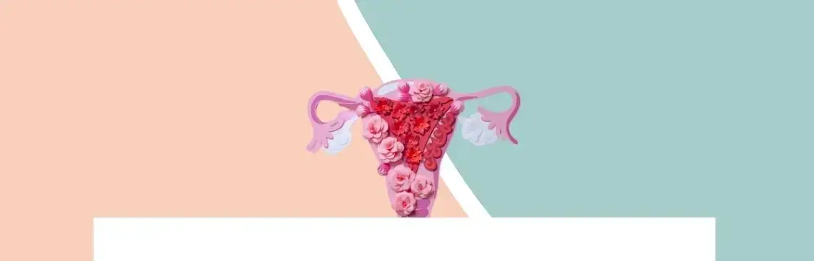 Article/Endometriosis Image of Endometrios, endometriosis