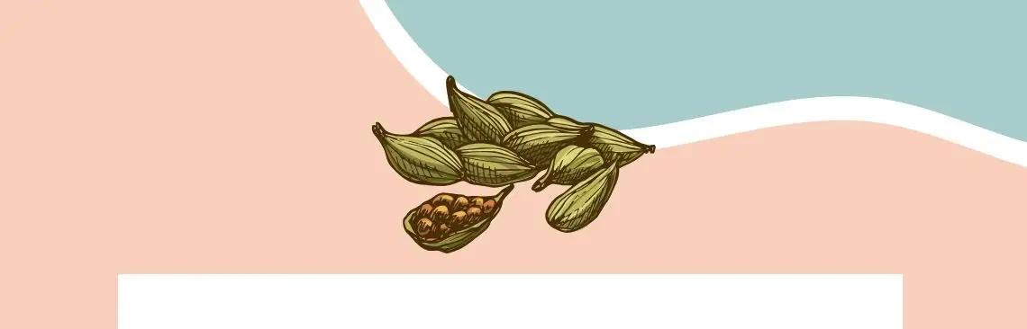 Cardamom Image of kardemumma, Cardamom