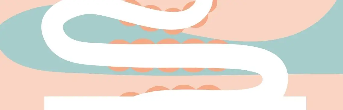 Intestinal pouches Image of Tarmfickor, Intestinal pouches