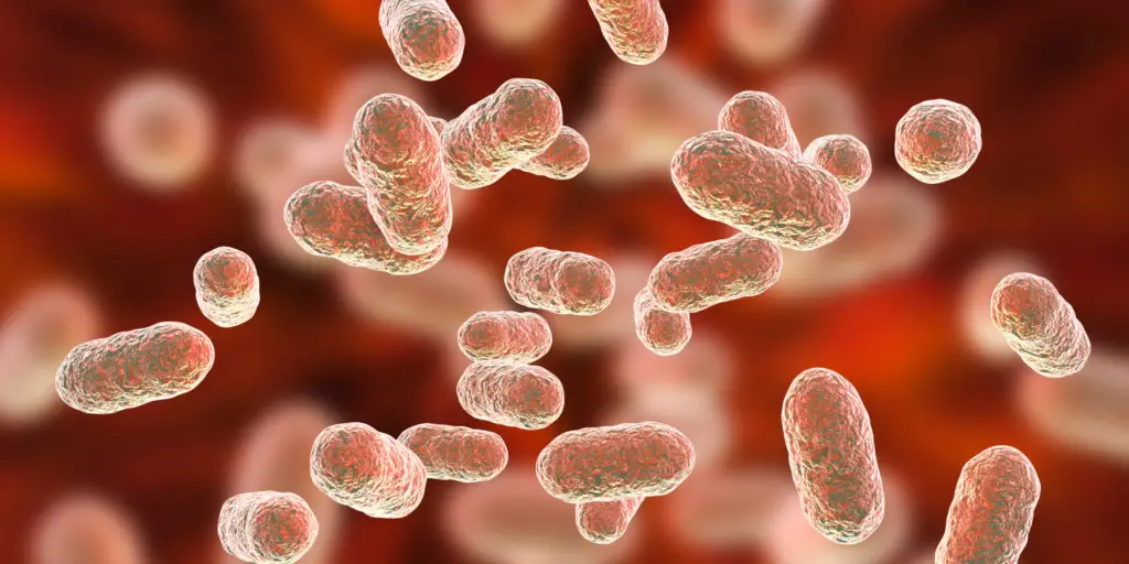 The Future of Gut Microbiome Testing: Simple, Effective, and Comfortable tarmundersökning, microbiome